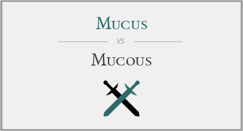 Mucus vs. Mucous