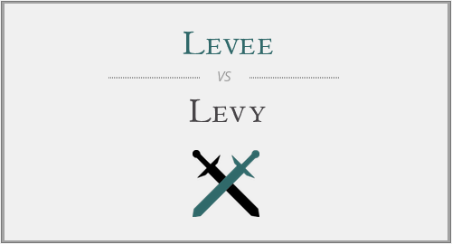 Levee vs. Levy
